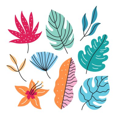 Bitkilerin, dalların ve yaprakların karalama çizgileri. Doğal dekoratif elementler. Beyaz bir arkaplanda izole edilmiş.