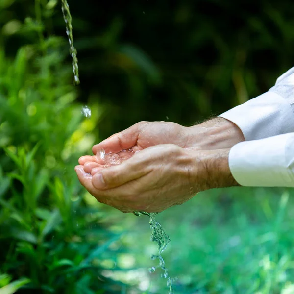 Zoet Water Tuin Welzijn Natuurconcepten — Stockfoto