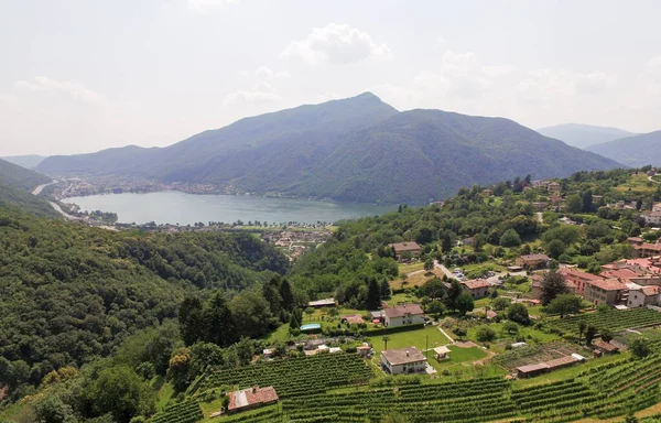 Aerial View Vineyards Fields Switzerland Close Lugano City — стоковое фото