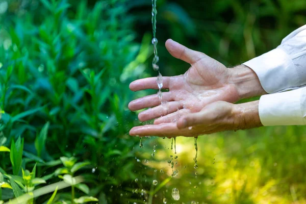 Färskvatten Trädgården Välbefinnande Och Naturbegrepp — Stockfoto