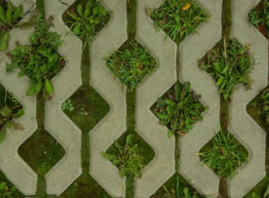 Asfalt, çimen, yeşil, desen, sokak, yürüyüş, yeşil, gri, detaylar