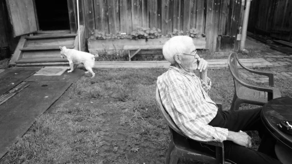 Cão Homens Avô Casa Solidão Velhice — Fotografia de Stock