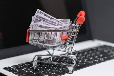 dolar ile alışveriş sepeti