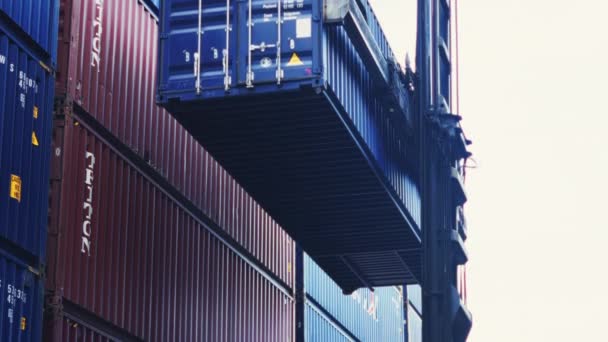 Container Stacker Working Container Yard — 图库视频影像