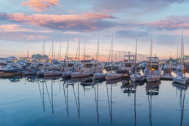 Akşam Soçi limanında.