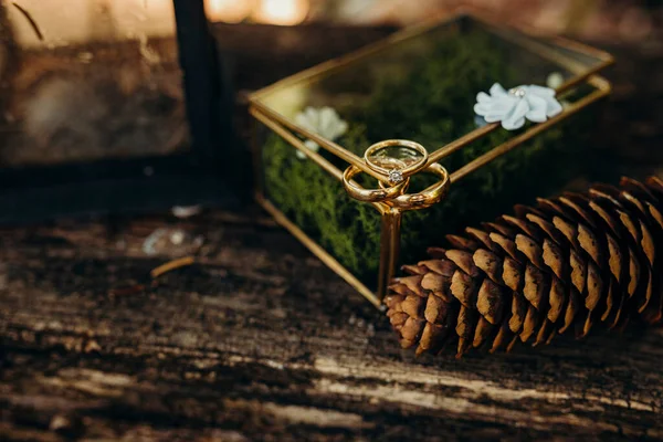 Güzel dekorasyonlu düğün aksesuarları.