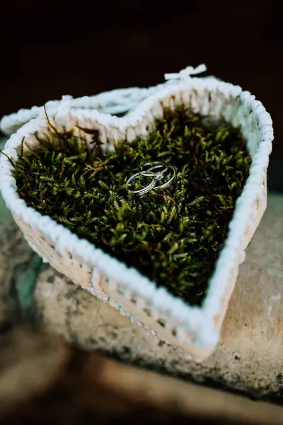 Gelin ve damat için alyans