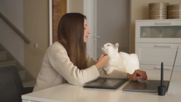 年轻的成年图形设计师的慢动作吸引了家里的平板电脑和宠物猫。自由职业者喜欢在家庭氛围中从事远程工作。淡淡的暖色. — 图库视频影像