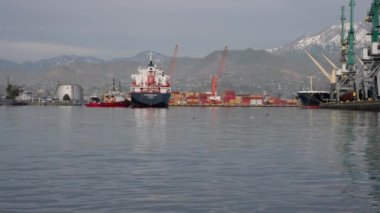 Batumi, Georgia - April 10, 2022: Dolphins swim among the plastic in the port. On the background LPG tanker and container ship is docked while its cargo is unloaded. High quality 4k footage