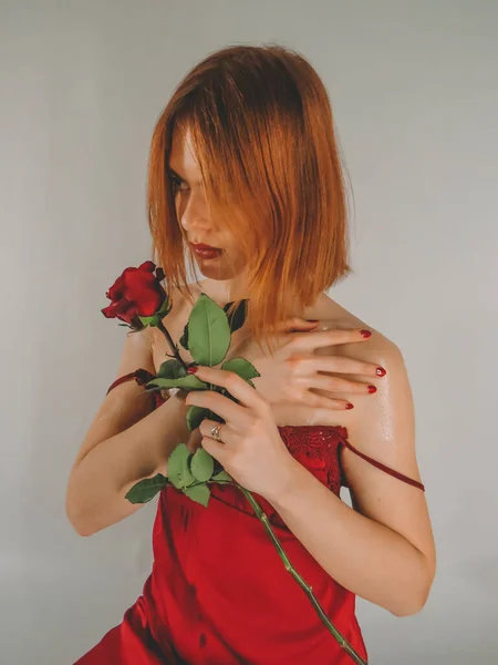 3月8日 圣瓦伦丁节是一个年轻的棕色头发的女人 穿着红色睡衣 手里拿着一朵红玫瑰 有着迷人的容貌 她的背景是轻盈的墙 — 图库照片