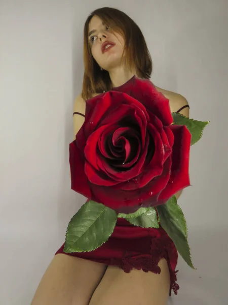明るい壁の背景に彼女の手の中に赤いバラの花と赤い過失で魅力的な外観を持つ若い茶色の髪の女性 クローズアップ 聖バレンタインの休日の概念 3月8 注目の兆候 ロマンチックな日付 女性の美しさ — ストック写真