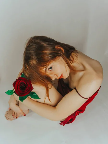 3月8日 圣瓦伦丁节 一位年轻的棕色头发的女人 穿着红色睡衣 手里拿着一朵红玫瑰花 有着迷人的容貌 身披薄薄的墙背景 特写着 圣瓦伦丁节 的概念 — 图库照片