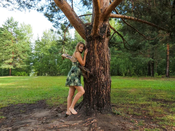 一个年轻的赤脚金发女人 穿着夏装 站在一棵风景如画的大松树旁 夏日在松林里休息 享受着大自然的欢乐 和谐和孤独 享受着一种积极的生活方式 在森林里远足 — 图库照片