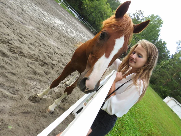 Blonde Young Woman Shirt Shorts Caresses Her Pet Red Horse — Stock Photo, Image