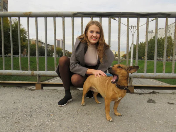 Una Mujer Joven Con Abrigo Gris Con Perro Pelo Rojo — Foto de Stock