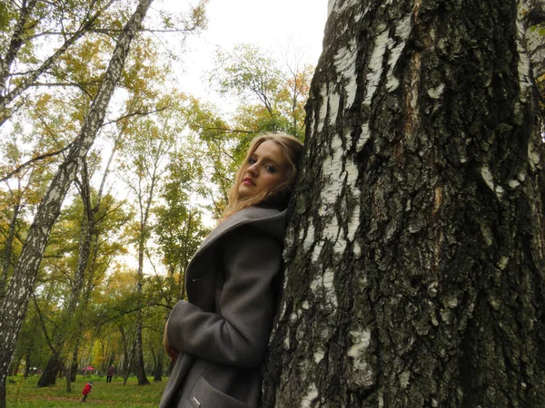 在9月的一个阳光灿烂的日子里 城市的秋天公园里 一位穿着灰色羊毛外套的年轻美丽的金发女子站在一棵桦树旁 西伯利亚西部 纳沃西尔斯克 金秋的概念 印度夏季 — 图库照片