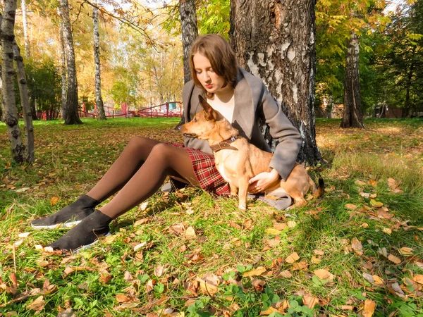 Молода Блондинка Рудим Собакою Прогулянці Міському Осінньому Парку Насолоджувалася Сонячним — стокове фото