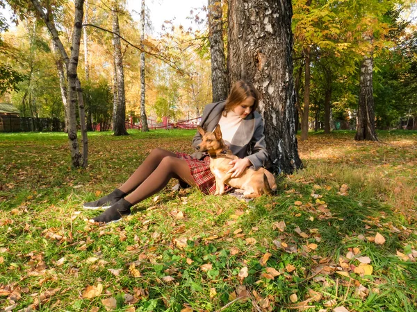 Молодая Блондинка Рыжеволосой Собачьей Дворняжкой Прогулке Городском Осеннем Парке Наслаждается — стоковое фото