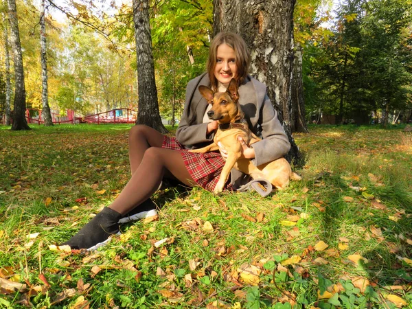 Mulher Loira Jovem Com Mestiço Cão Ruivo Passeio Parque Outono — Fotografia de Stock