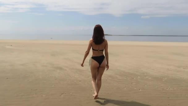 비키니를 매력적 모래사장을 해변을 바다로 갑니다 자유의 휴일의 일광욕 건강하고 — 비디오