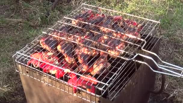 Μπάρμπεκιου Στη Σχάρα Πόδια Κοτόπουλου Τηγανισμένα Κάρβουνα Σαββατοκύριακο Στη Φύση — Αρχείο Βίντεο