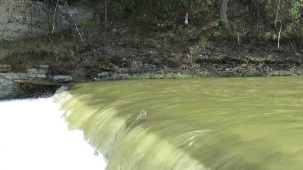 Espuma Tempestuosa Córregos Água Limiar Rio Primavera Close Conceito Elemento — Vídeo de Stock