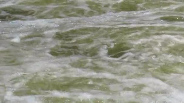 Fiumi Tempestosi Acqua Schiumosa Sulla Soglia Fiume Primavera Primo Piano — Video Stock