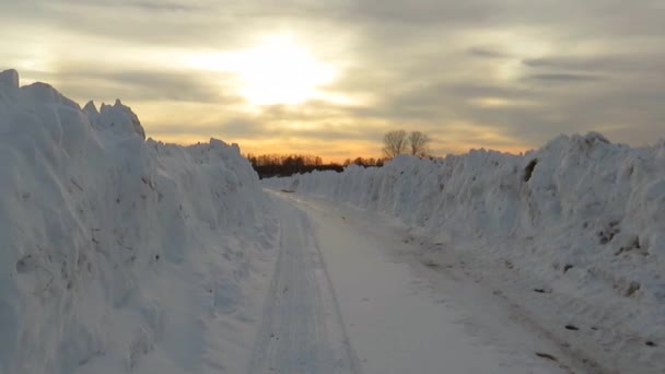冬日的道路在雪地里飘扬 黄昏时穿过田野 冬季的西伯利亚风景 冬季的时间 — 图库视频影像