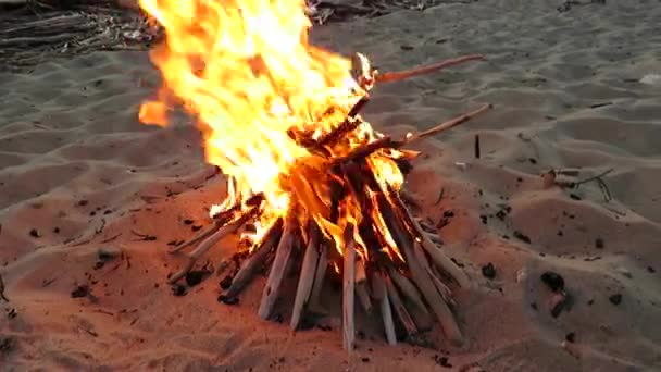 Gün Batımında Deniz Koyunun Kumlu Sahillerinde Yanan Şenlik Ateşi Plaj — Stok video