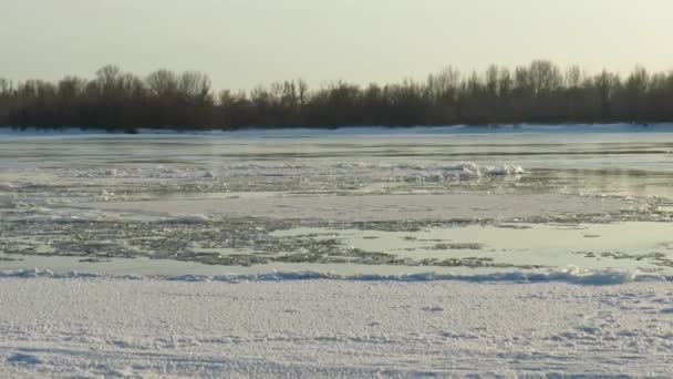 Dérive Glace Printanière Glace Flottante Sur Rivière Sibérie Occidentale Paysages — Video