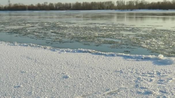 Ανοιξιάτικο Ρεύμα Πάγου Επιπλέων Πάγος Στον Ποταμό Στη Δυτική Σιβηρία — Αρχείο Βίντεο