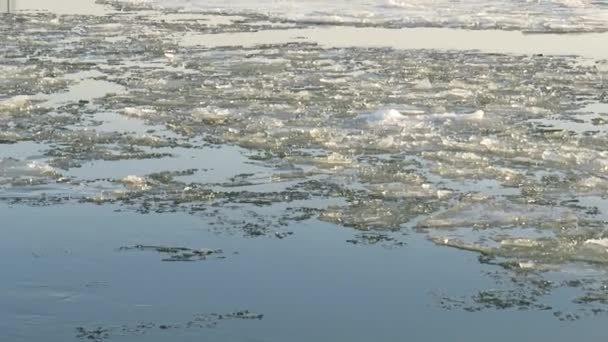 春天的冰流 西伯利亚西部奥伯河上的浮冰 春天的风景 自然景观 — 图库视频影像