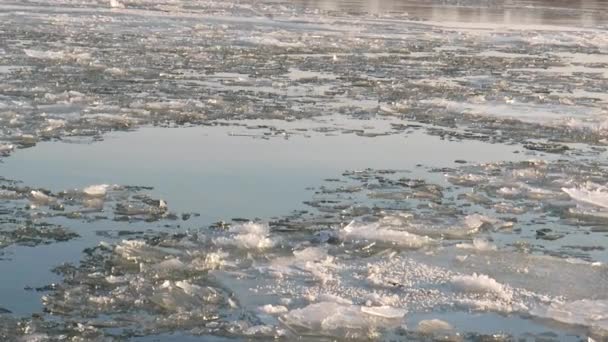 Ghiaccio Primavera Ghiaccio Galleggiante Sul Fiume Nella Siberia Occidentale Paesaggi — Video Stock