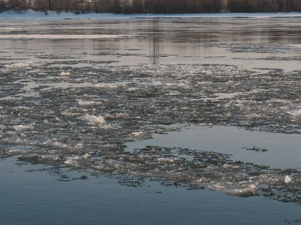 夕日のシベリア川の春の氷のドリフト 水の氷の破片 西シベリア Ob川 シベリアの風景 — ストック写真