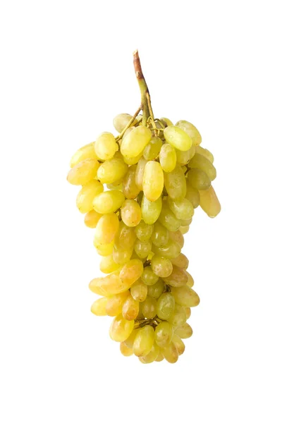 在白色背景上隔离的一串葡萄 — 图库照片