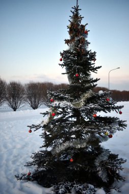 Kardaki Noel ağacı.