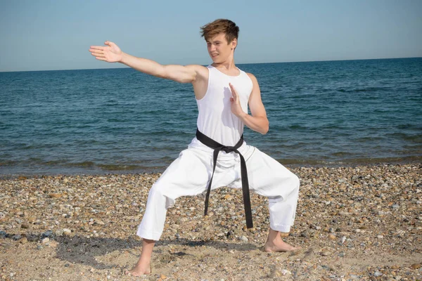 Year Old Teenage Black Belt Doing Karate Beach — Stock fotografie