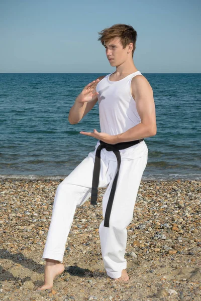 Year Old Teenage Black Belt Doing Karate Beach —  Fotos de Stock