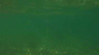 A 17 Year Old Teenage Boy Swimming In The Sea