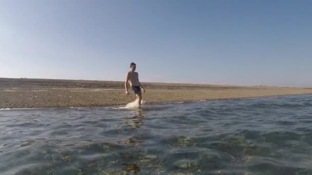 Year Old Teenage Boy Swimming Sea — Stockvideo