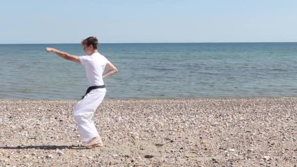 Teenage Boy Doing Karate Beach — Stok video