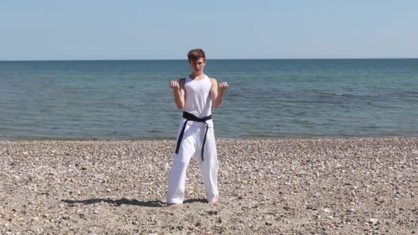 Teenage Boy Doing Karate Beach — ストック動画