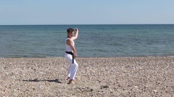 Teenage Boy Doing Karate Beach — Stok video