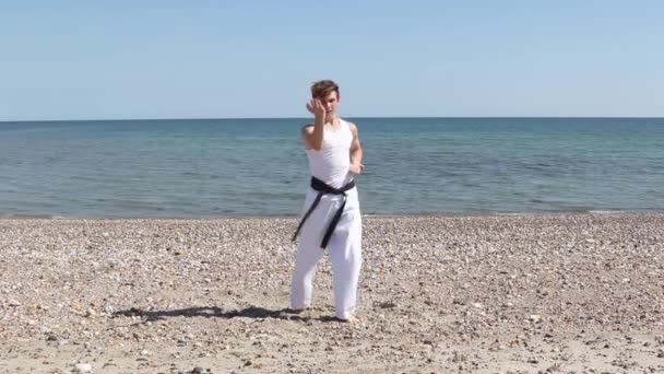 Teenage Boy Doing Karate Beach — Stock videók