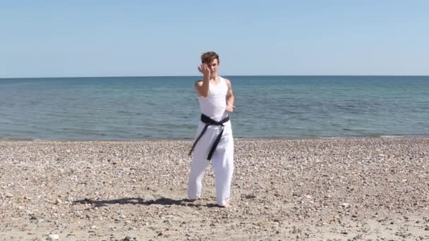 Teenage Boy Doing Karate Beach — Vídeos de Stock