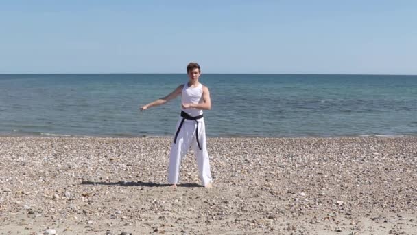 Teenage Boy Doing Karate Beach — Stock videók