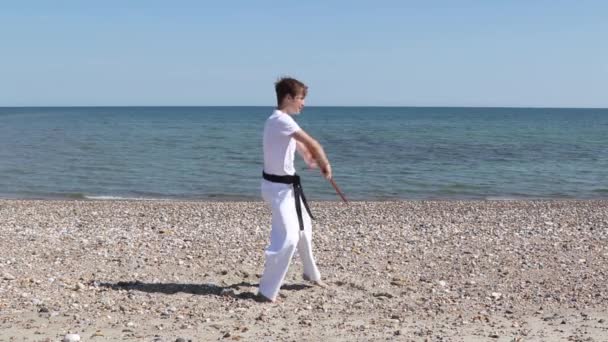 Teenage Boy Doing Karate Beach — 图库视频影像