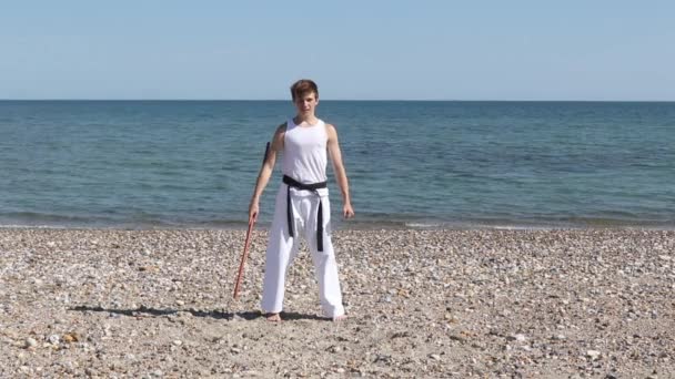 Teenage Boy Doing Karate Beach — Stok video