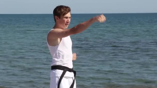 Teenage Boy Doing Karate Beach — 图库视频影像