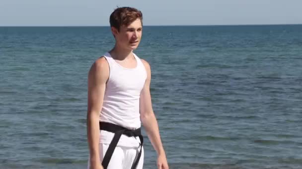 Teenage Boy Doing Karate Beach — Vídeos de Stock